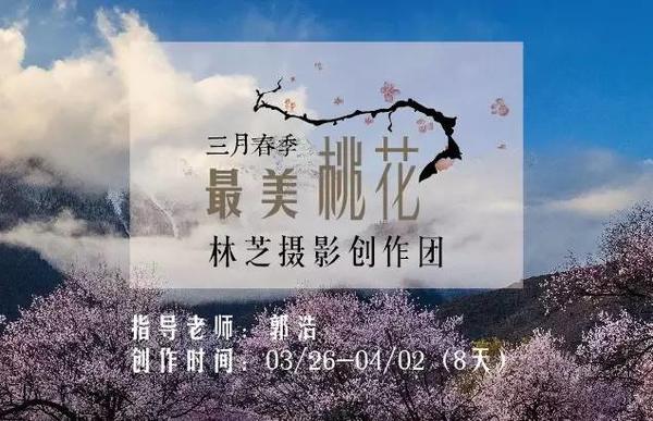 【大扬影像】郭浩|3月春季最美桃花——林芝摄影创作团 