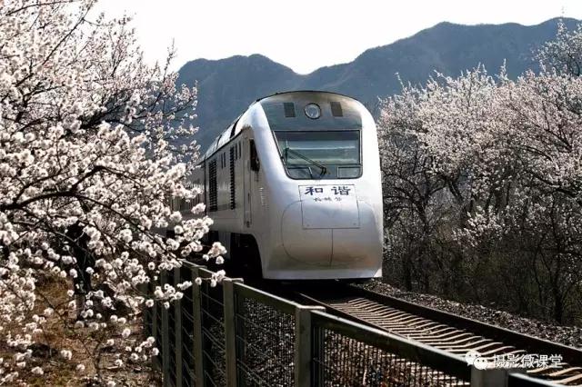 自驾居庸关“开往春天的列车”专题摄影创作团