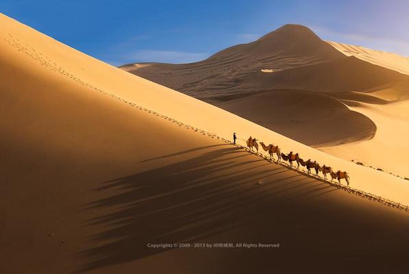 县长带队世界最美胡杨林——10月金色额济纳大漠之旅 |FANTO