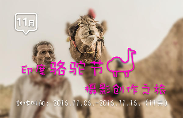 【大扬影像】11月印度骆驼节摄影创作之旅 